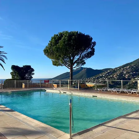 Vue Et Jardin * Theoule-sur-Mer